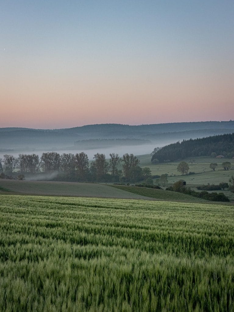 hill, field, landscape, sauerland, fog, mist, meadow, spring, trees, highlands, mountains, nature, germany